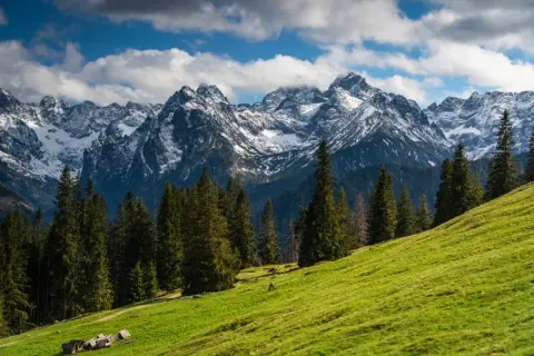 Zielony stok z widokiem na ośnieżone szczyty Tatr. Idealne miejsce na wycieczki w Tatry, gdzie można podziwiać majestatyczne krajobrazy.