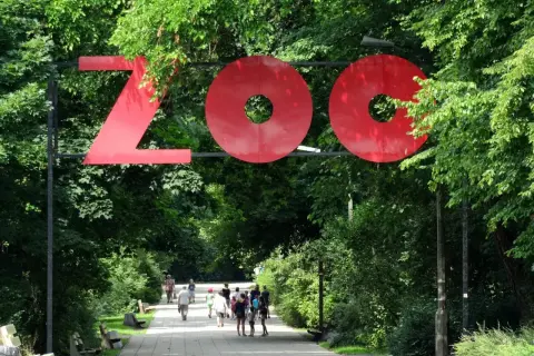 Wejście do największego zoo w Polsce. Czerwony napis "ZOO" nad alejką pełną zieleni, którą spacerują ludzie.