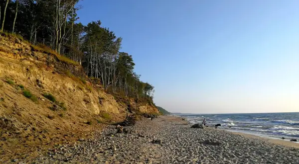 Dębina plaża z klifem porośniętym drzewami. Piasek i kamienie na brzegu, fale rozbijają się o brzeg.