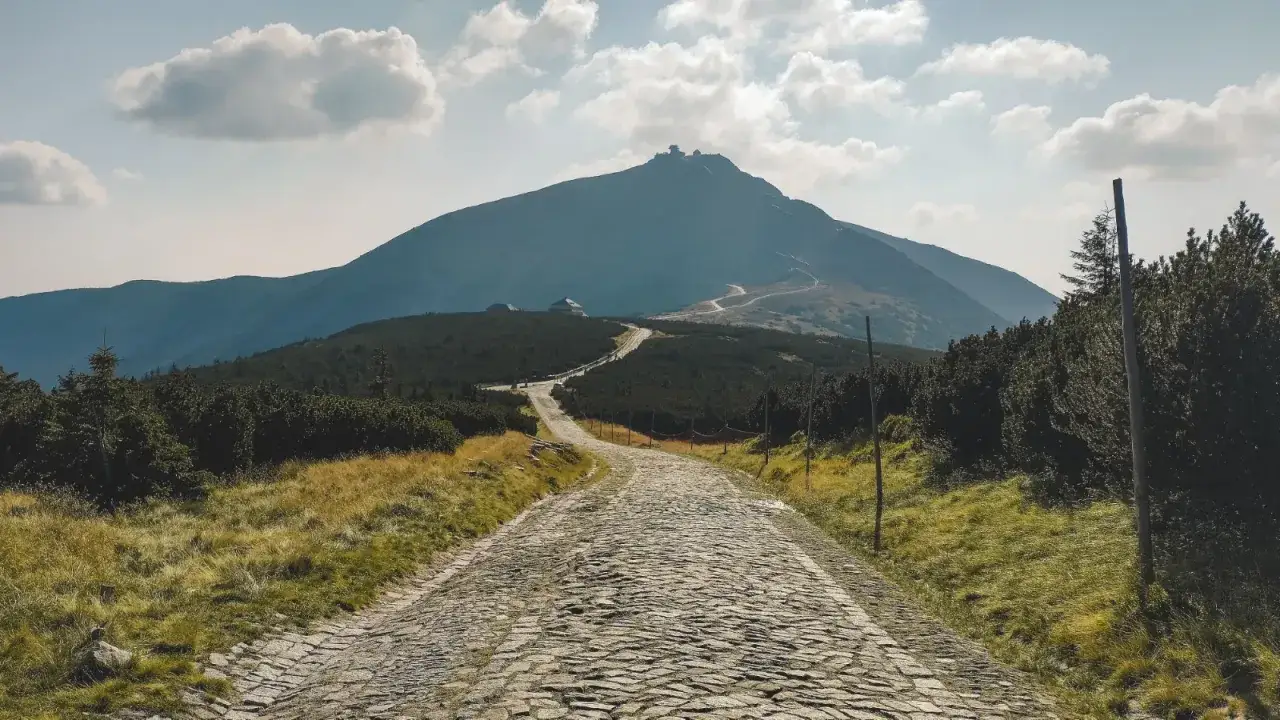 Kamienna ścieżka prowadzi ku górze Śnieżka, otoczona trawami i kosodrzewiną. W oddali widać budynki na szczycie.