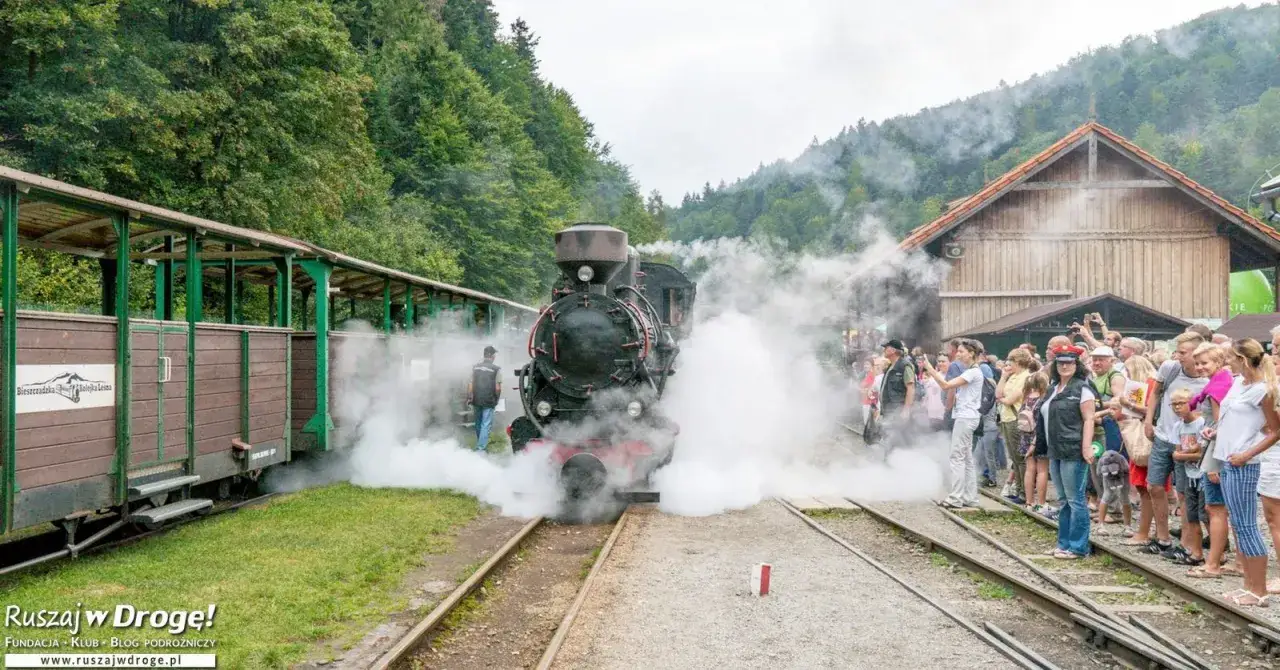 Parow&oacute;z z wagonami na tle Bieszczad. Kolejka leśna to świetne atrakcje dla dzieci, kt&oacute;re z zaciekawieniem obserwują parę i maszynę.
