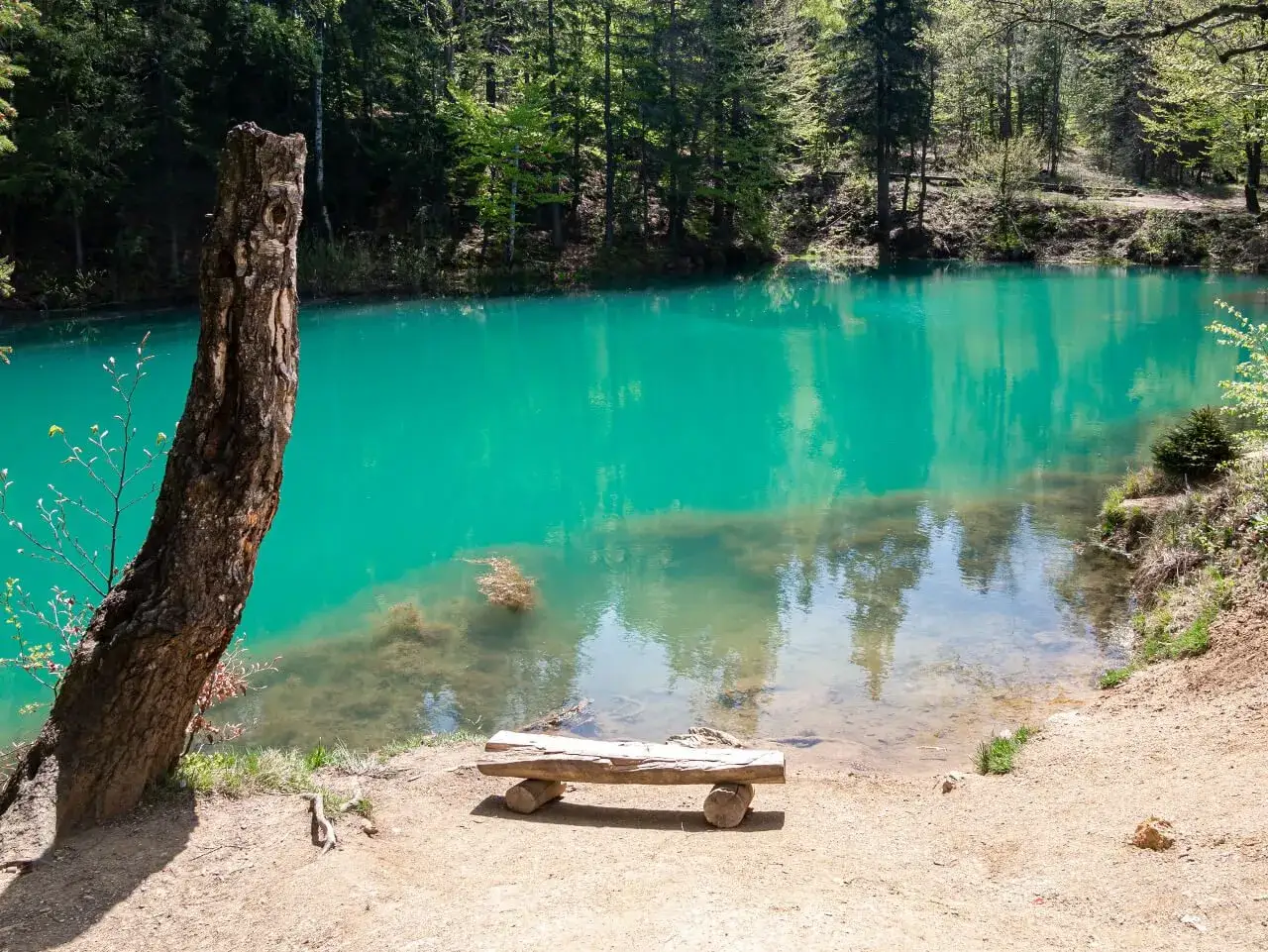 Turkusowe, kolorowe jeziorka otoczone lasem. Drewniana ławka zaprasza do odpoczynku nad wodą.
