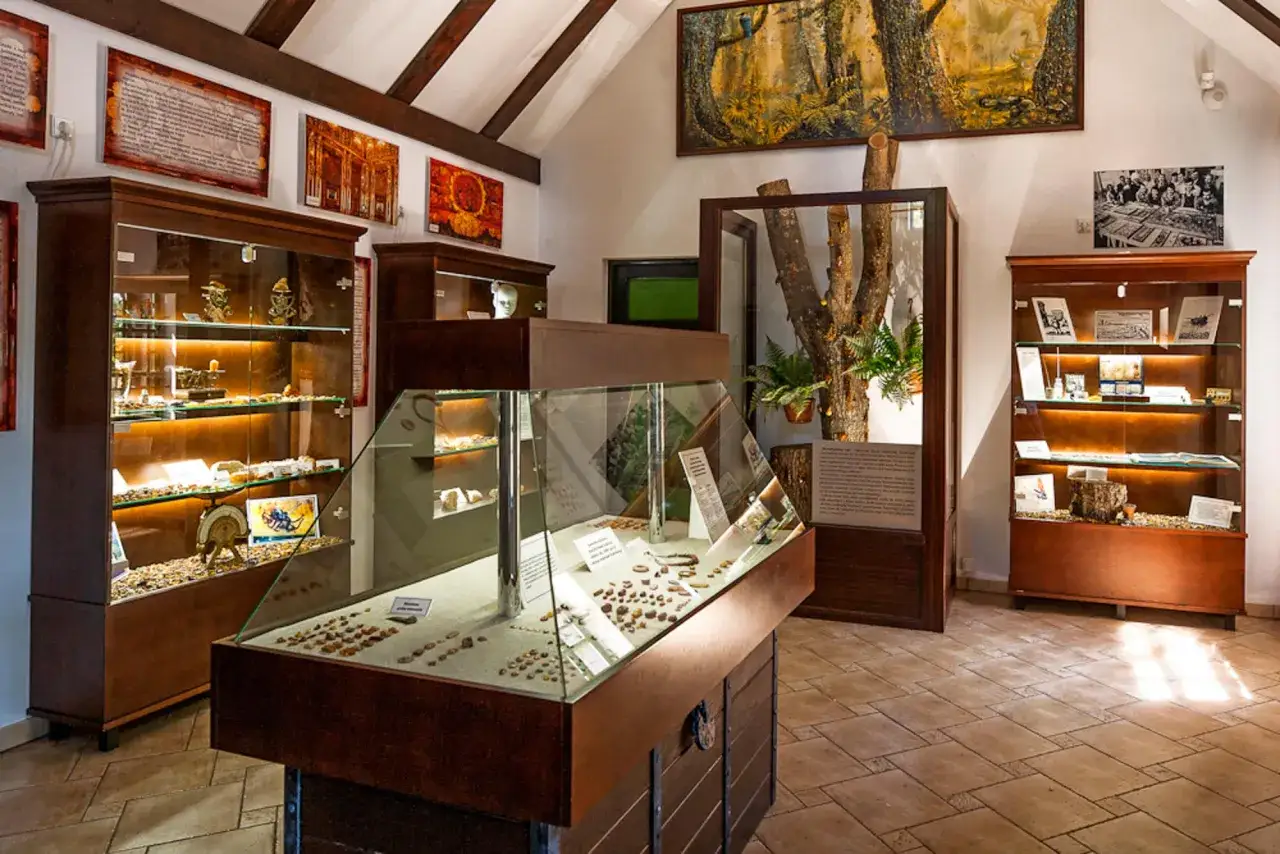 Wnętrze muzeum bursztynu z gablotami pełnymi skarb&oacute;w. W centralnej części ekspozycja z bursztynami, obok drzewo i obrazy.