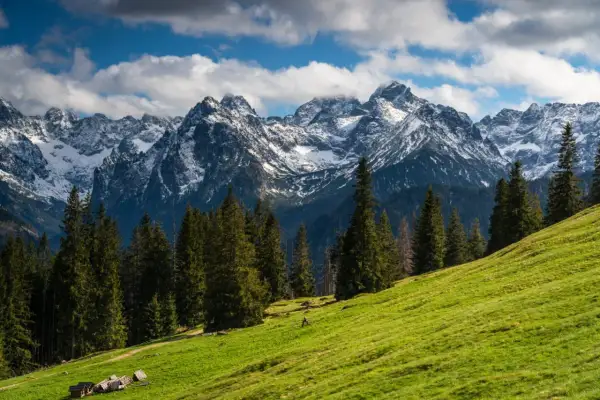 Zielony stok z widokiem na ośnieżone szczyty Tatr. Idealne miejsce na wycieczki w Tatry, gdzie można podziwiać majestatyczne krajobrazy.